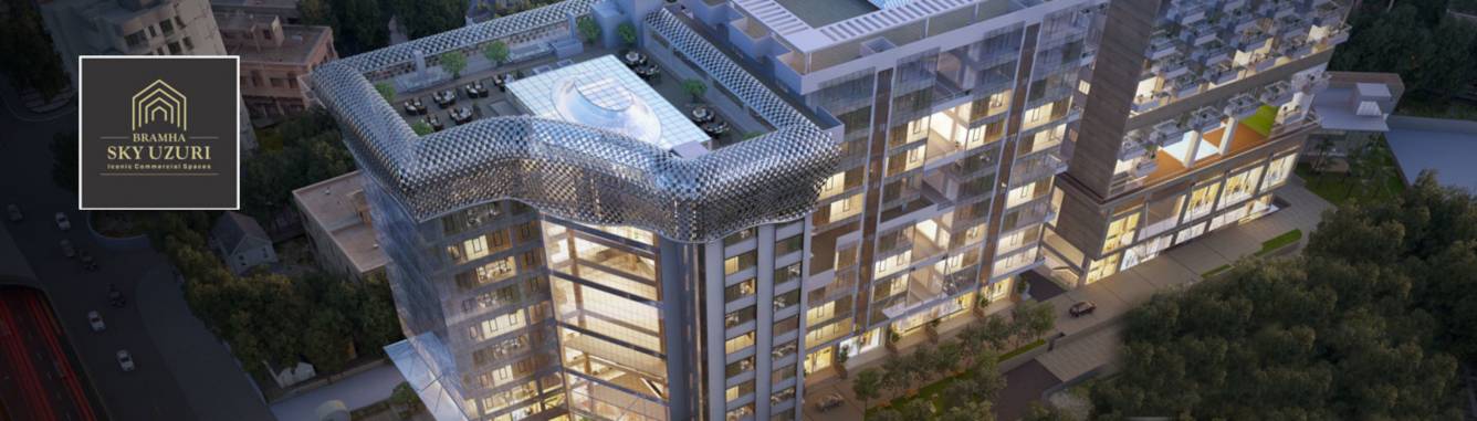 Elevation skyuzuri Elevation