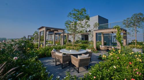  the-ark-voyage-to-the-star-tower-e-annex Terrace Garden