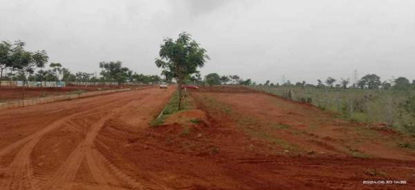  shiva-nandi-phase-1 Plot