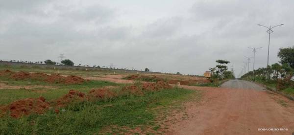  shiva-nandi-phase-1 Plot