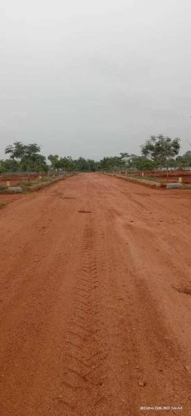  shiva-nandi-phase-1 Plot