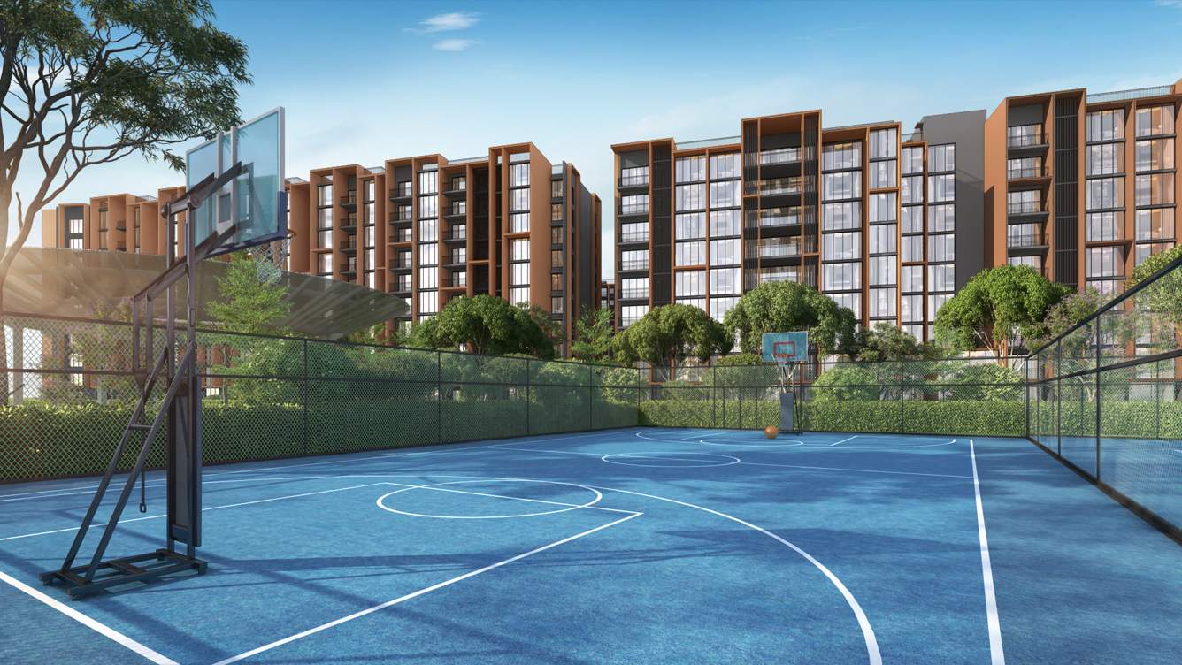  hola chennai Basketball Court