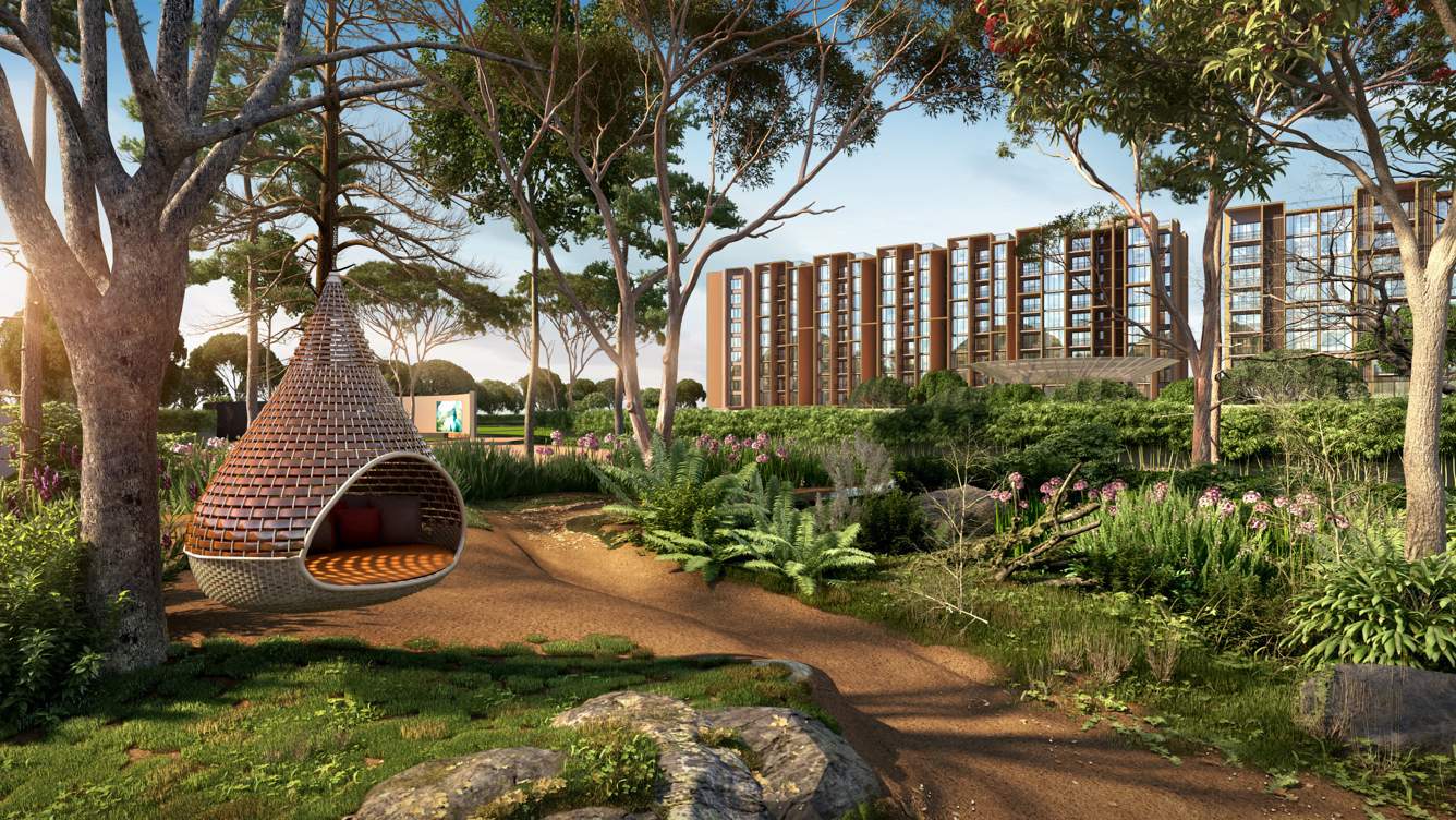  hola chennai Landscape Garden and Tree Planting