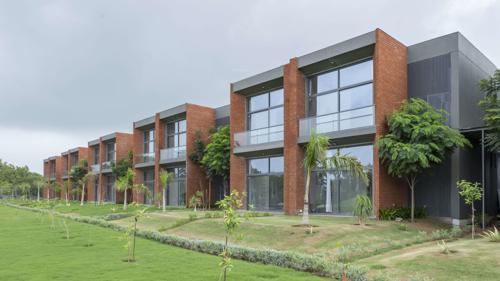  swajan Landscape Garden and Tree Planting