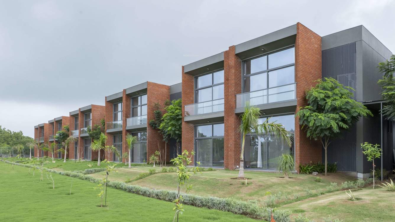  swajan Landscape Garden and Tree Planting