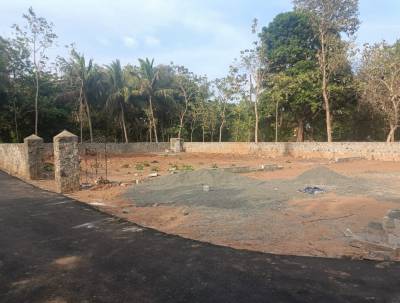  southbay-2-o Elevation