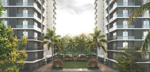  coral-aroma Landscape Garden and Tree Planting