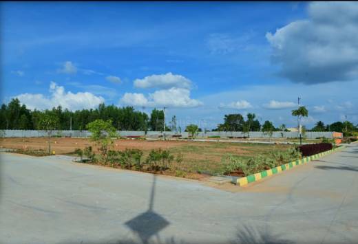 spring-woods Elevation Elevation