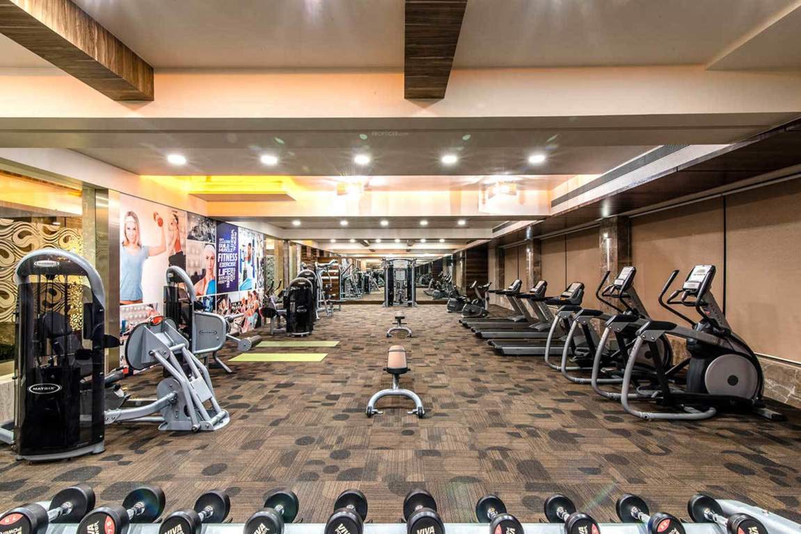  antilia phase iv Gymnasium