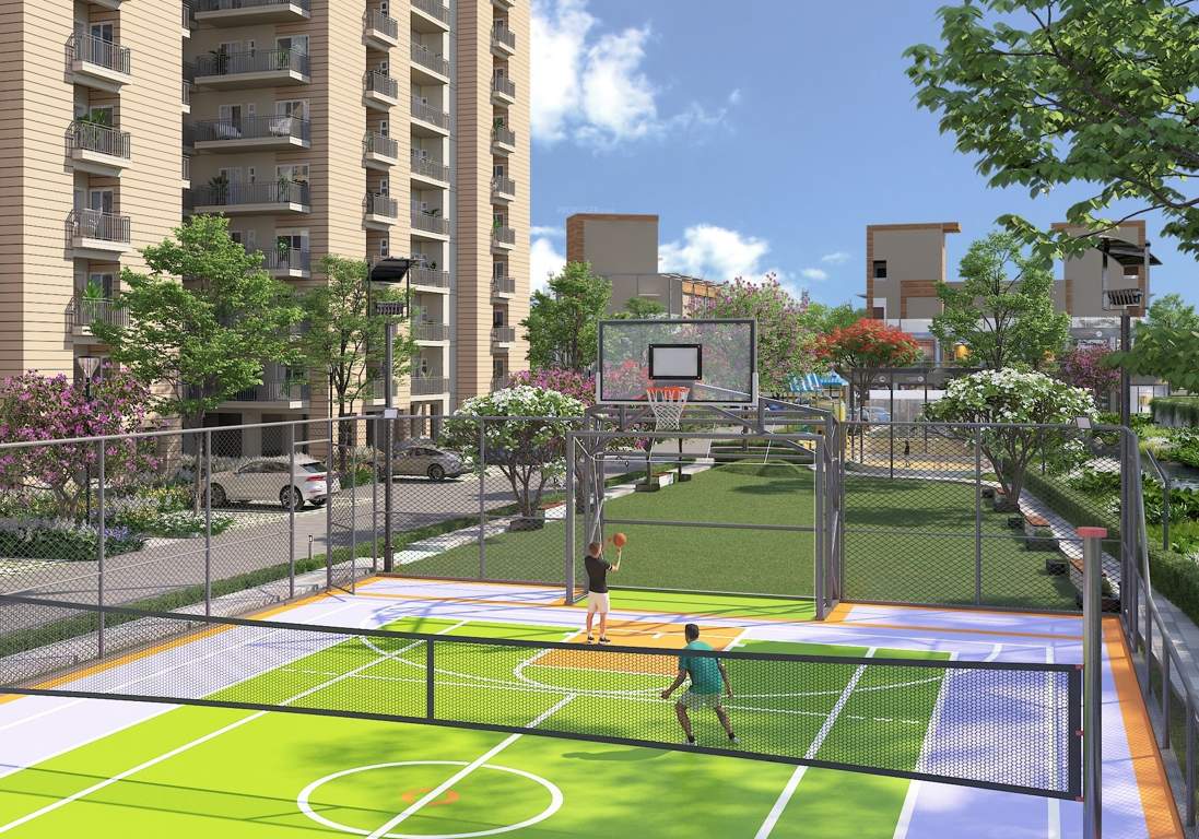  city Volleyball Court