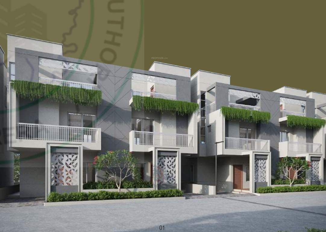  shantam luxuria Elevation