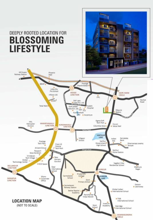  cattleya orchids Location Plan