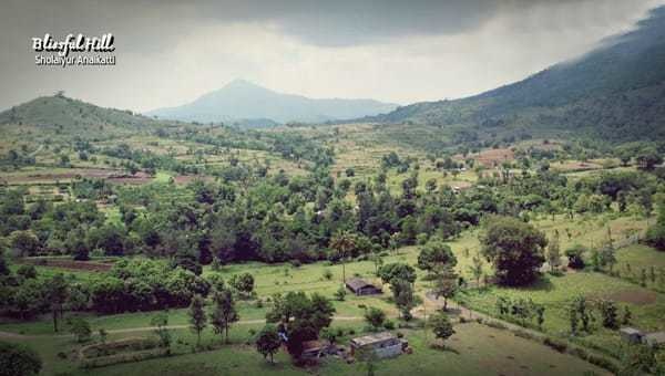  blissful hills Others