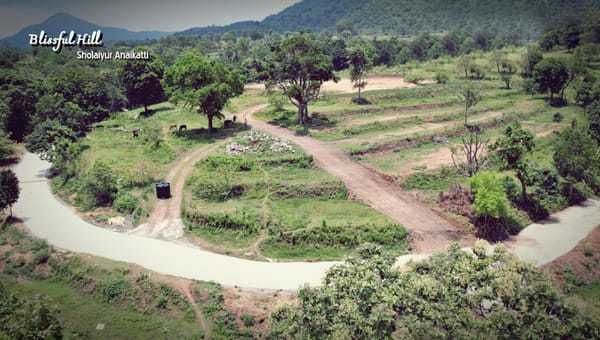  blissful-hills Others