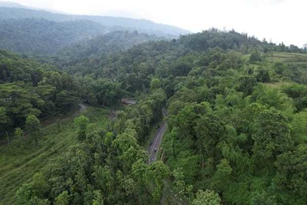  blissful-hills Others