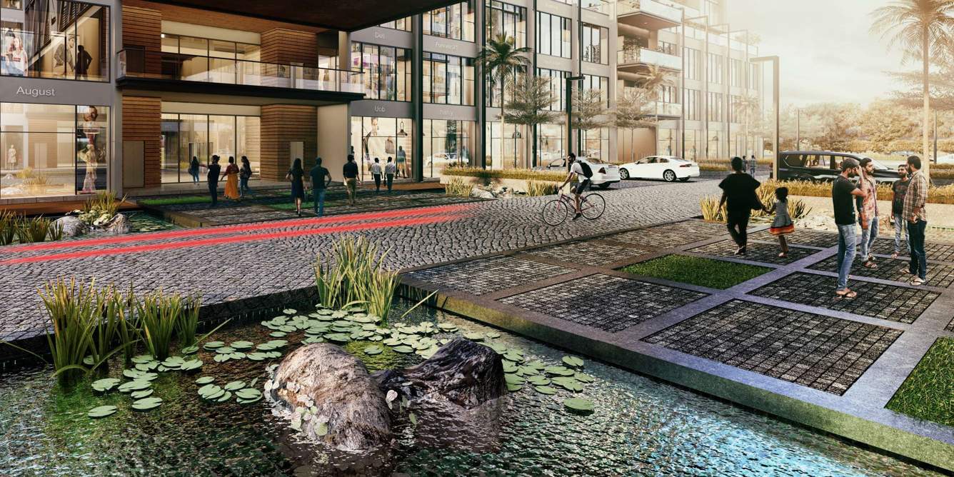  z2 Landscape Garden and Tree Planting