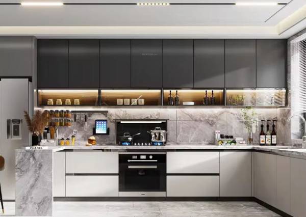  abhishek-villa Kitchen