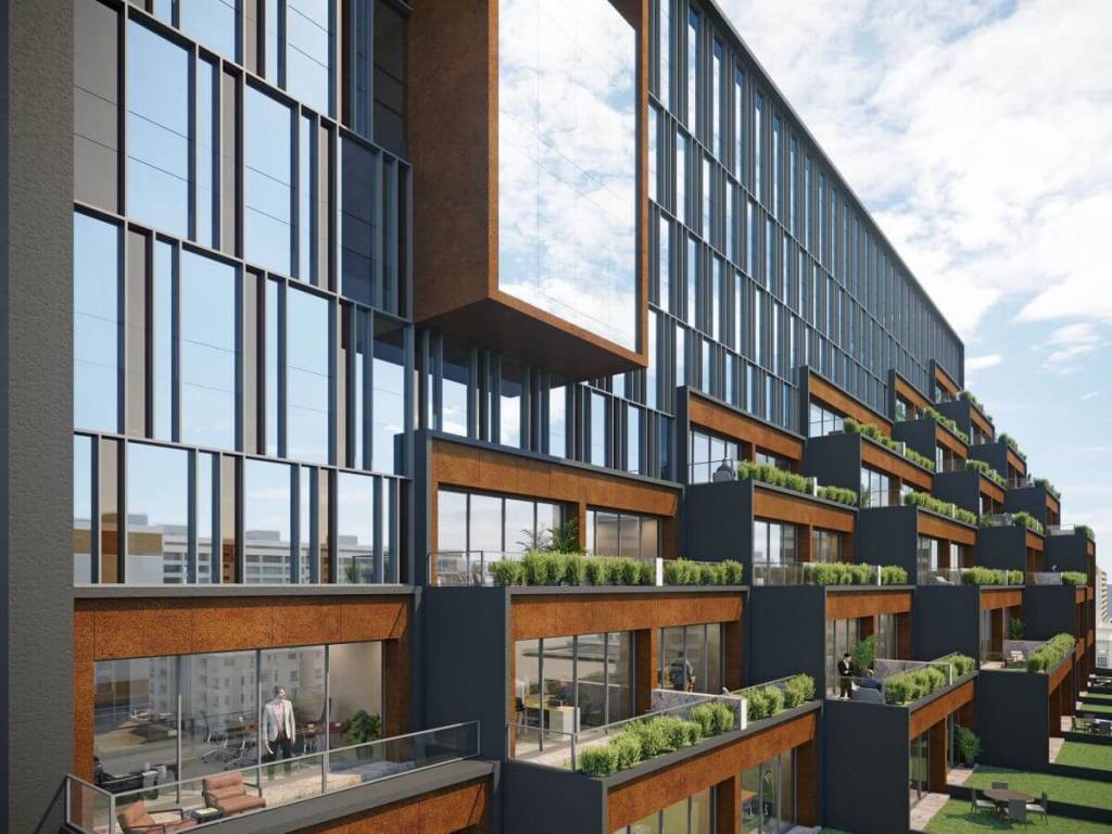  silver radiance 4 Others