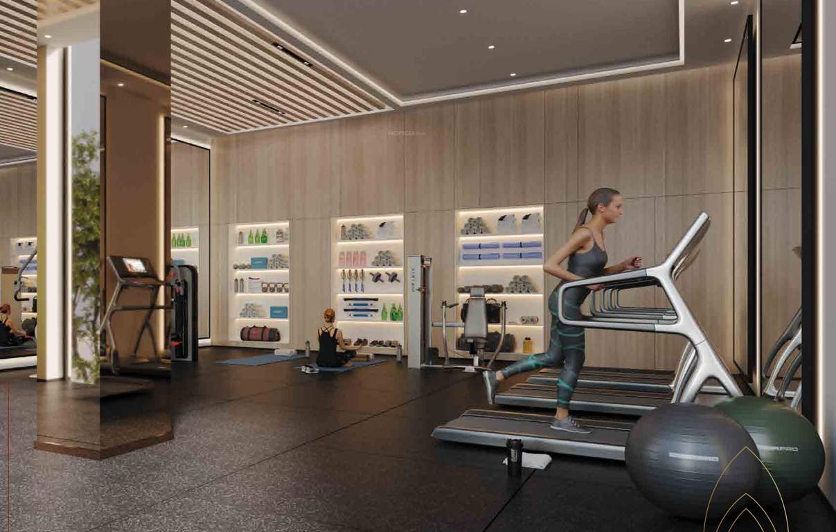 ambrosia luxurious residence Gymnasium