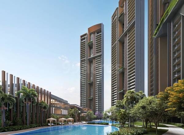 Elevation titanium-spr Elevation