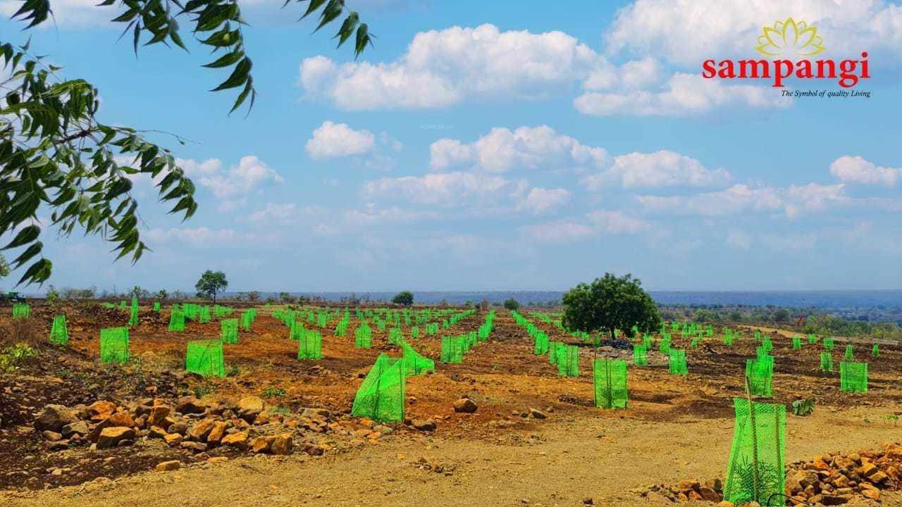  the treasure valley Plot