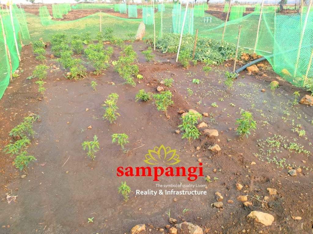  the treasure valley Plot