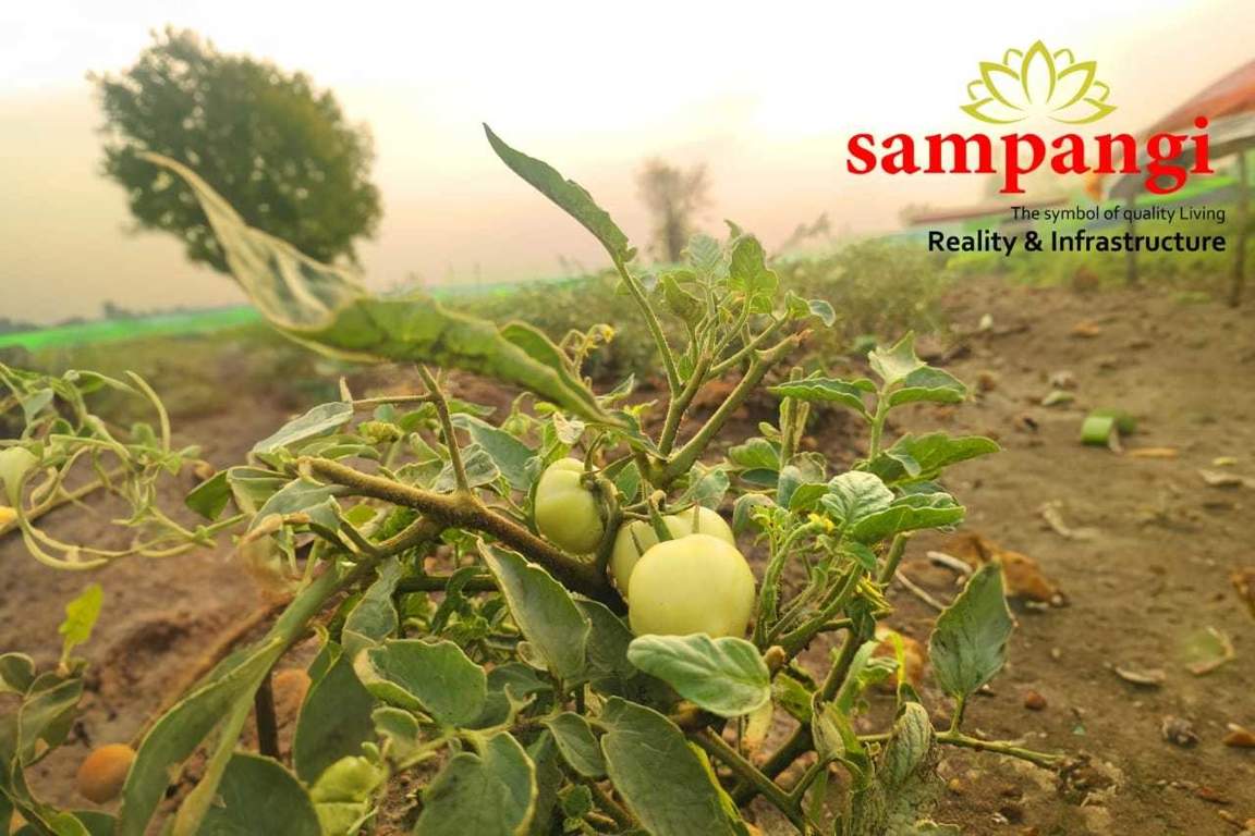  the treasure valley Plot