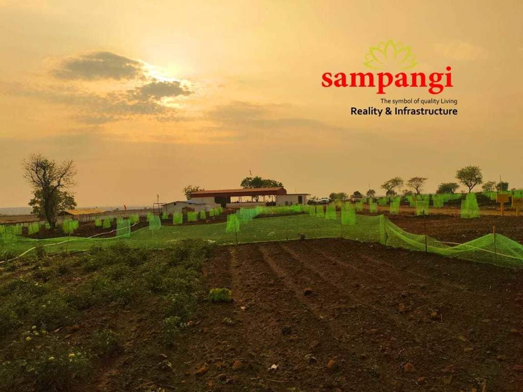  the treasure valley Plot