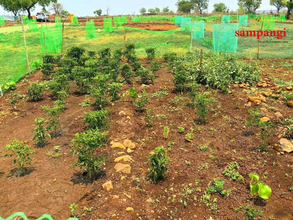  the treasure valley Plot