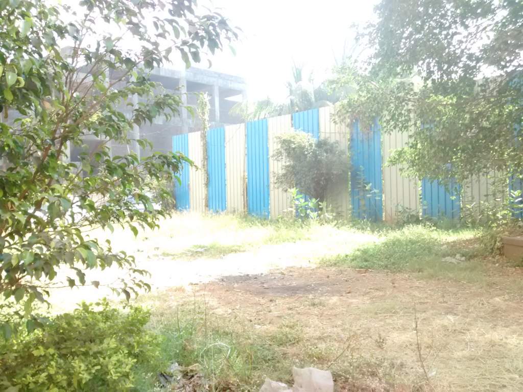  diwali varihman garden phase ii Landscape Garden and Tree Planting