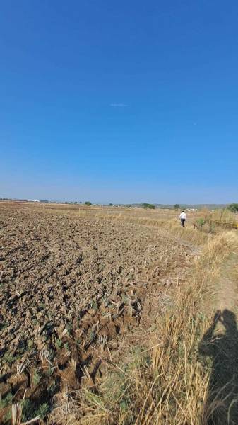  residential-and-commercial-plots-in-panvel Plot