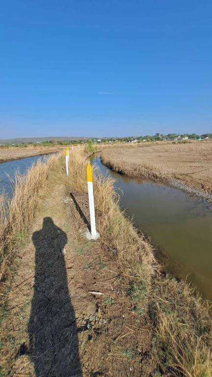  residential and commercial plots in ranjanpada Plot