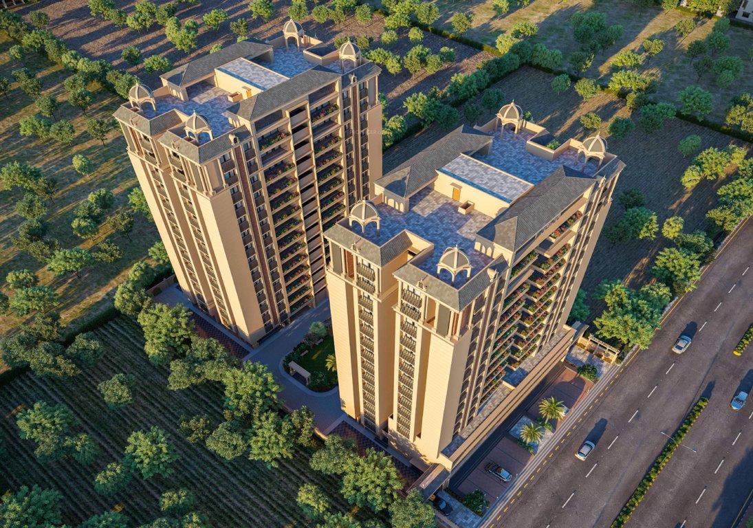  royal king Elevation