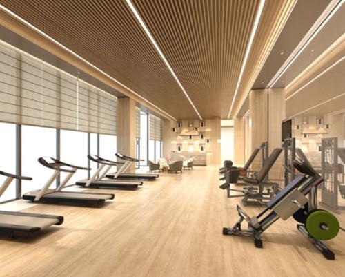  sai-proviso-atlantis-phase-ii Gymnasium