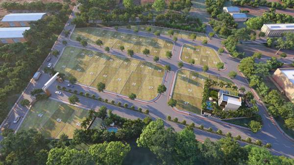 Elevation city-11 Elevation