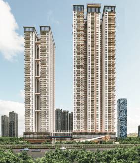  palais-royale Elevation