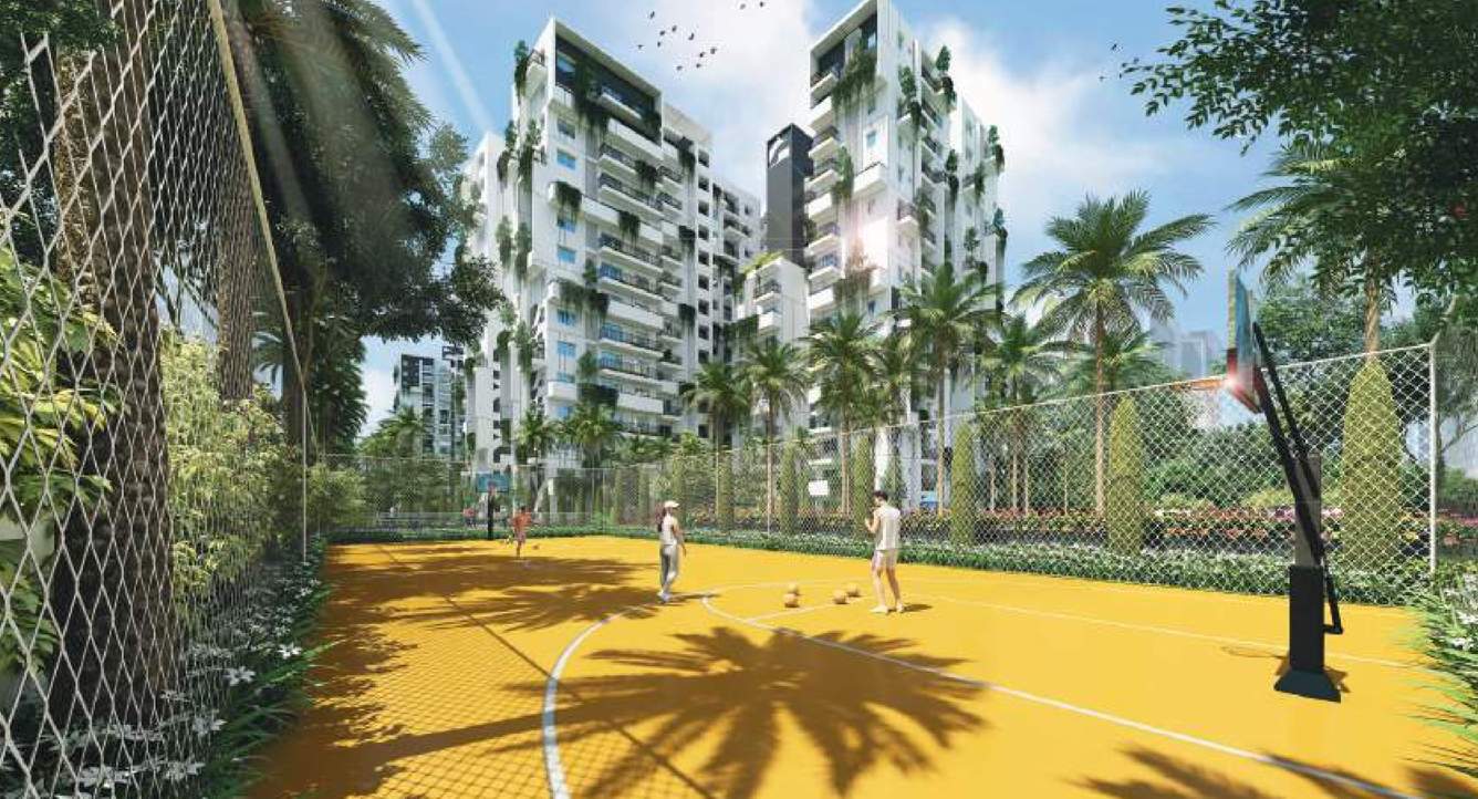  orchid Basketball Court