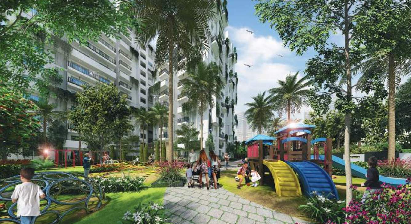  orchid Children's play area