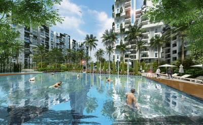  orchid Swimming Pool