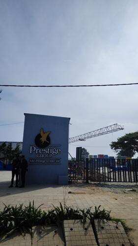  camden-gardens Prestige Camden Gardens Construction Status Dec-24