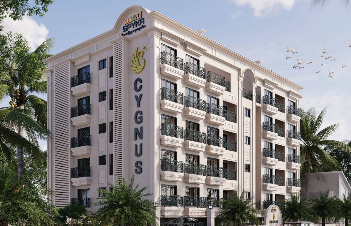 Elevation cygnus Elevation