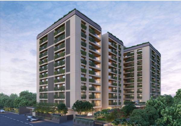 Elevation ombre Elevation