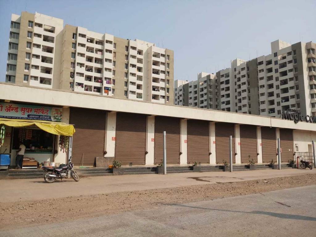  magic phase 4 Elevation