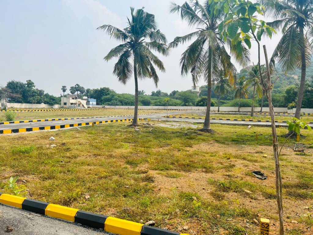  rathis sri balaji nagar Plot