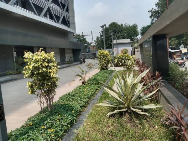 Others celeum-centre Others