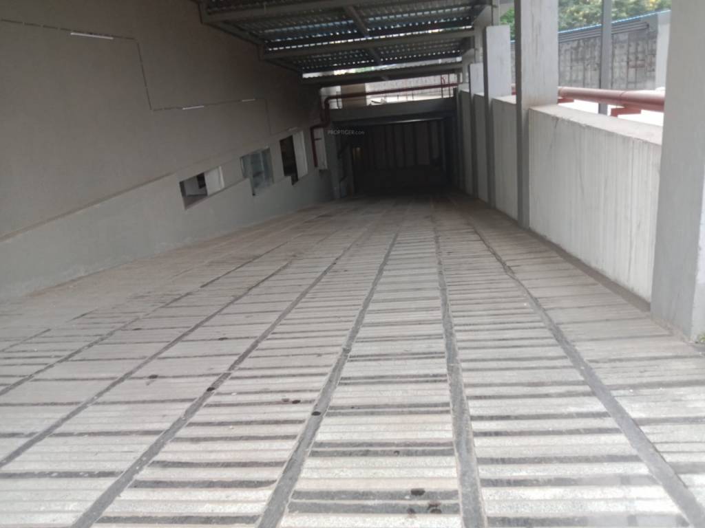 celeum centre Others