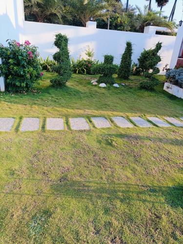  villa-pllots Landscape Garden and Tree Planting