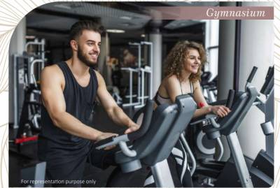  sunshine-meadows Gymnasium