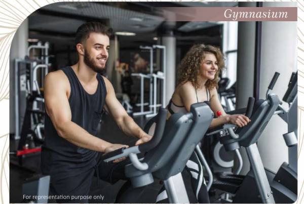  sunshine-meadows Gymnasium