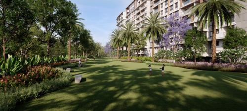  regalia-project-1 Landscape Garden and Tree Planting